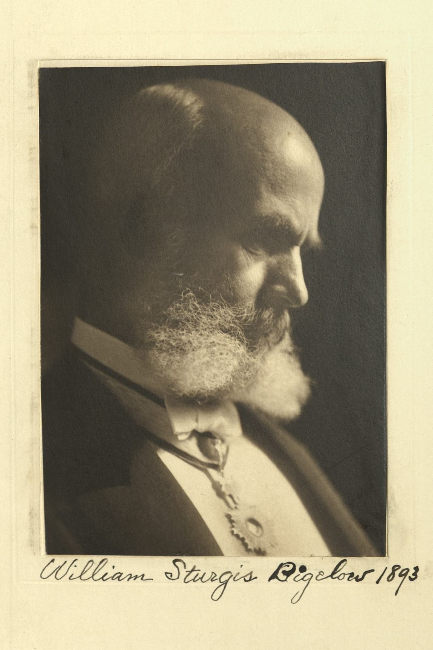 Member portrait of William Sturgis Bigelow